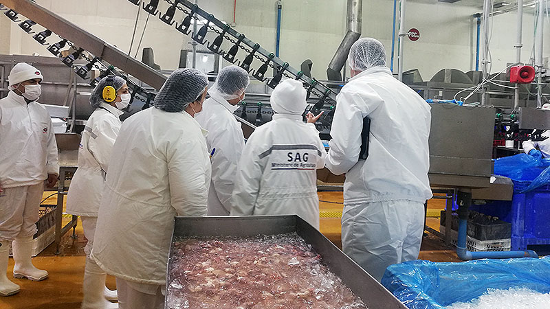 Agroindustrial Arica S.A