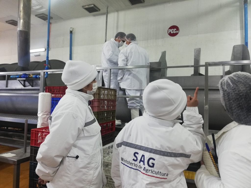 Agroindustrial Arica S.A.